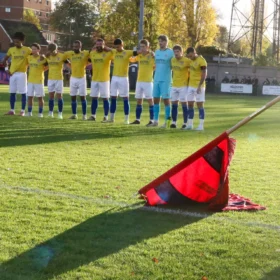 Dulwich Hamlet vs St Albans City, 8 November 2025: match photo 8 of 12