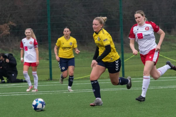 Stevenage vs St Albans City, 18 January 2026: match photo 3 of 12